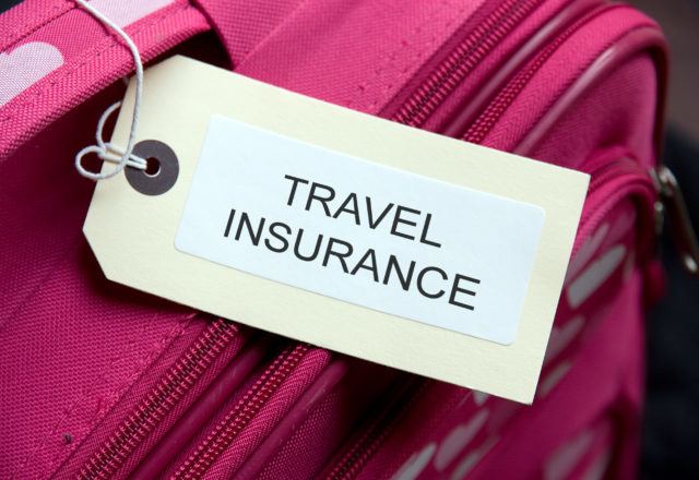 travel insurance luggage tag